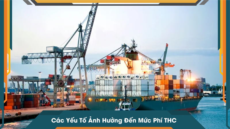 Các Yếu Tố Ảnh Hưởng Đến Mức Phí THC