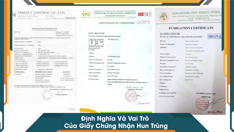 Định Nghĩa Và Vai Trò Của Giấy Chứng Nhận Hun Trùng