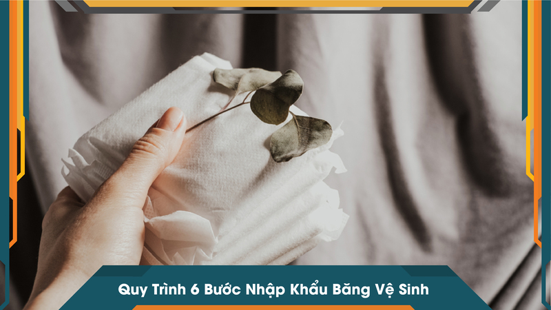Quy Trình 6 Bước Nhập Khẩu Băng Vệ Sinh