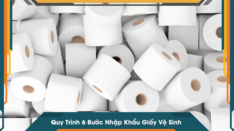 Quy Trình 6 Bước Nhập Khẩu Giấy Vệ Sinh