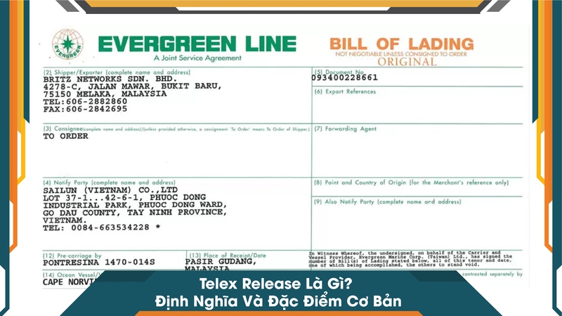 Telex Release Là Gì? Định Nghĩa Và Đặc Điểm Cơ Bản
