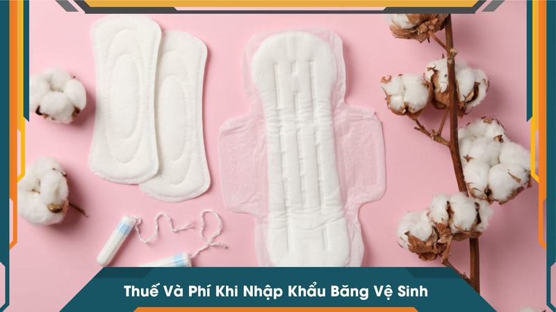 Thuế Và Phí Khi Nhập Khẩu Băng Vệ Sinh