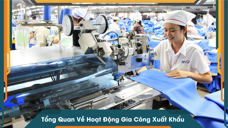 Tổng Quan Về Hoạt Động Gia Công Xuất Khẩu