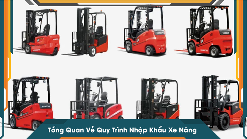 Tổng Quan Về Quy Trình Nhập Khẩu Xe Nâng