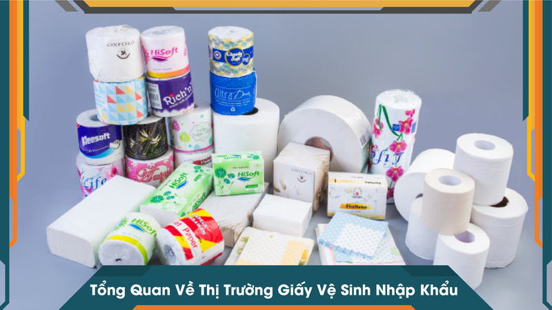 Tổng Quan Về Thị Trường Giấy Vệ Sinh Nhập Khẩu