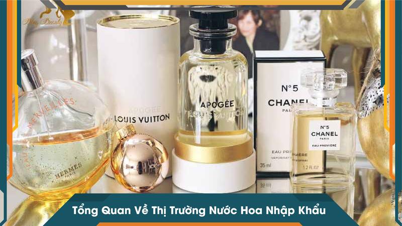 Tổng Quan Về Thị Trường Nước Hoa Nhập Khẩu
