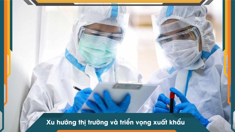 Xu hướng thị trường và triển vọng xuất khẩu
