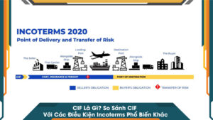 CIF Là Gì So Sánh CIF Với Các Điều Kiện Incoterms Phổ Biến Khác