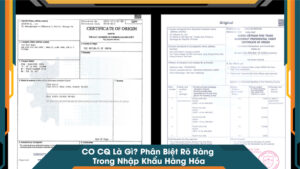 CO CQ Là Gì Phân Biệt Rõ Ràng Trong Nhập Khẩu Hàng Hóa