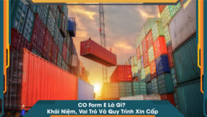 CO Form E Là Gì? Khái Niệm, Vai Trò Và Quy Trình Xin Cấp