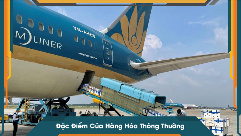 Đặc Điểm Của Hàng Hóa Thông Thường