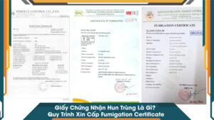 Giấy Chứng Nhận Hun Trùng Là Gì Quy Trình Xin Cấp Fumigation Certificate
