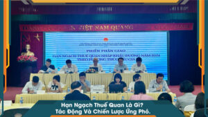 Hạn Ngạch Thuế Quan Là Gì? Tác Động Và Chiến Lược Ứng Phó.