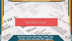 Manifest Là Gì? Khái Niệm, Phân Loại Và Quy Trình Khai Báo