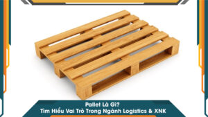 Pallet Là Gì? Tìm Hiểu Vai Trò Trong Ngành Logistics & XNK