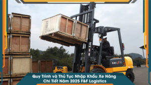Quy Trình và Thủ Tục Nhập Khẩu Xe Nâng Chi Tiết Năm 2025