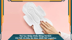 Thủ Tục Nhập Khẩu Băng Vệ Sinh Chi Tiết Và Đầy Đủ Năm 2025