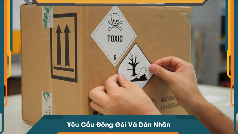 Yêu Cầu Đóng Gói Và Dán Nhãn